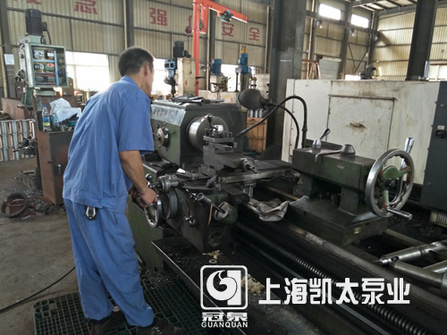 �Ϻ��P̫�ØIˮ�üӹ��F��(6)